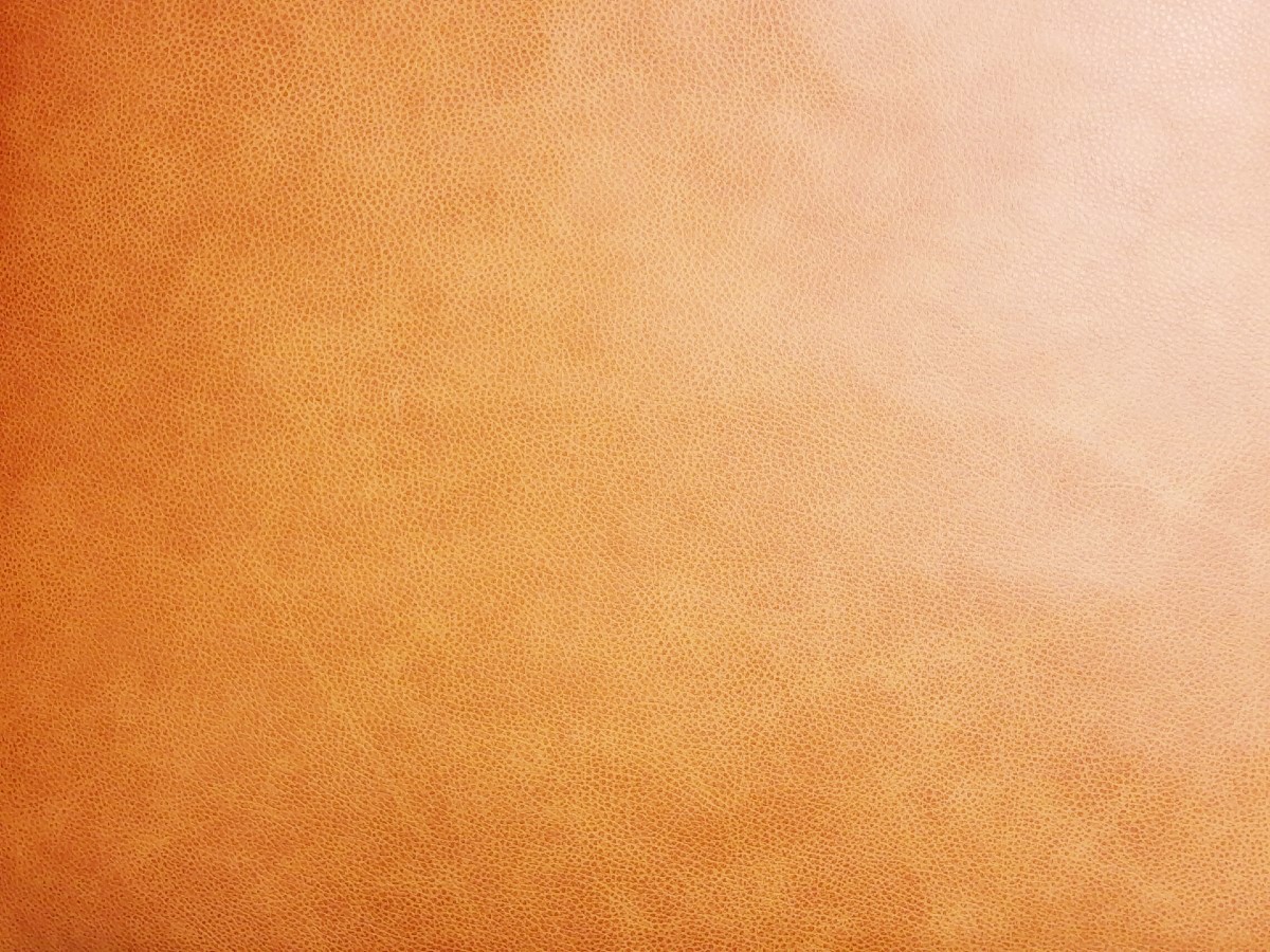 Luna-M-300 Leather Chair - Macchiato Rust P1 - Image 2