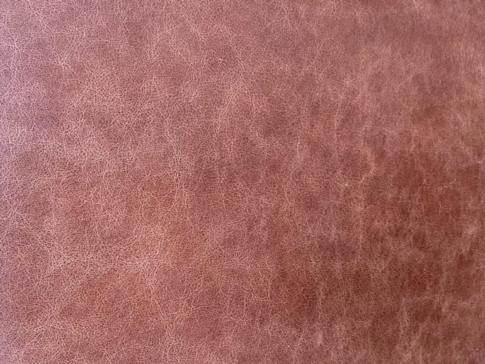 Lupe Leather Sofa - Cowboy Latte - Image 3