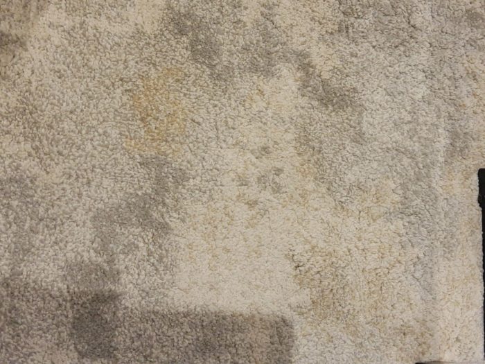 Astor2268J Area Rug - 5’3″ x 7’6″ - Image 2